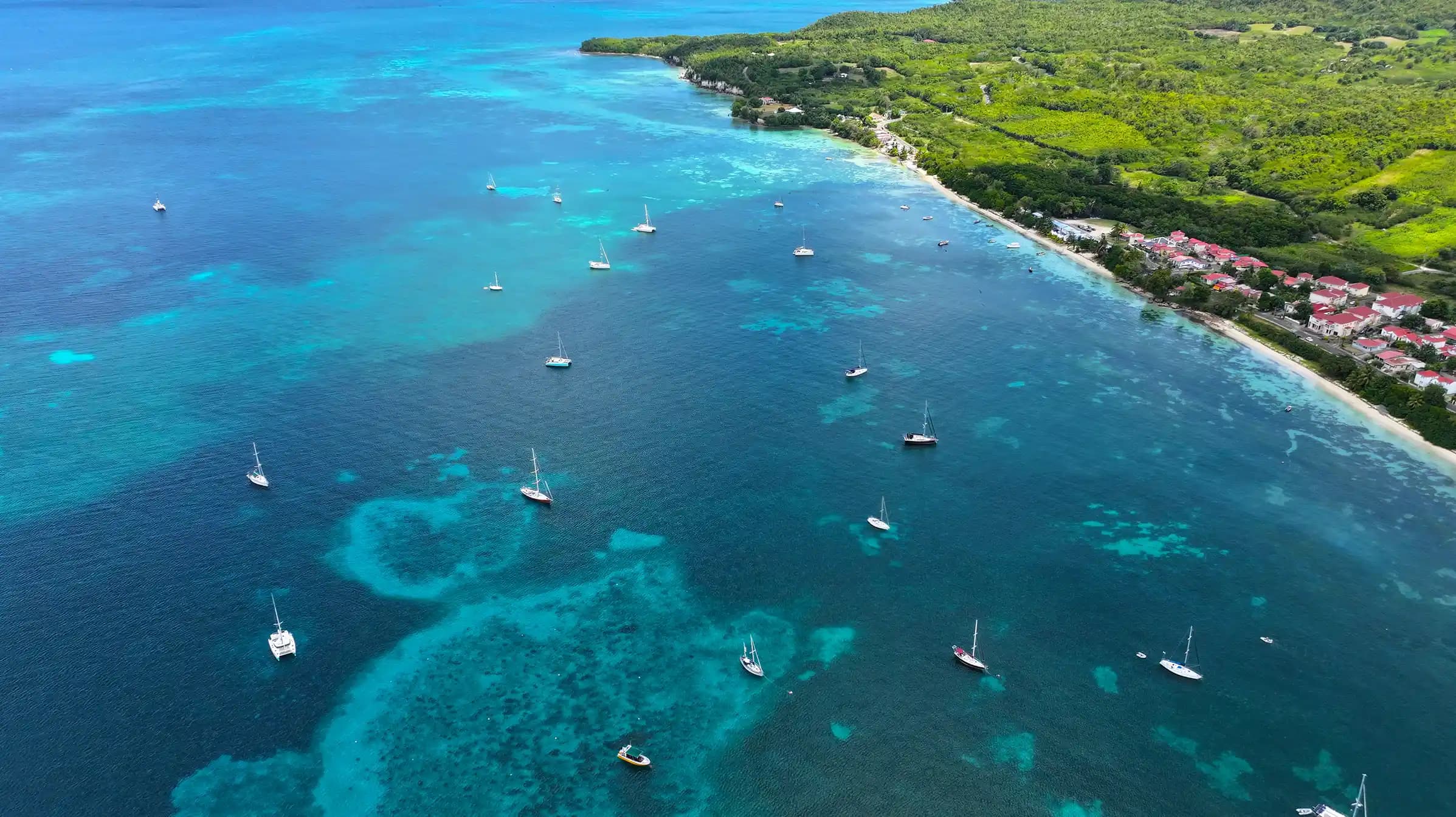 Grand Caribbean featuring Tobago and Dominica